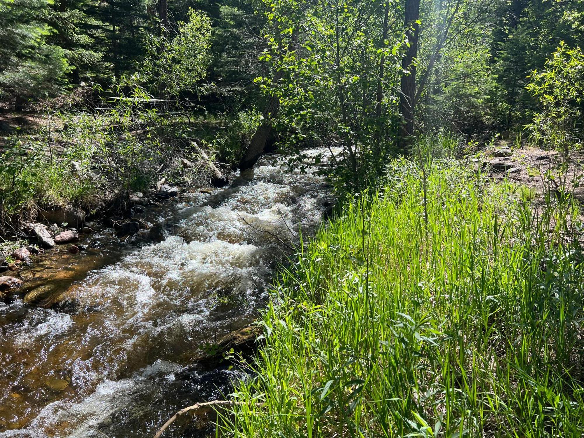 Cozy Cabin On The Creek Colorado City Buitenkant foto