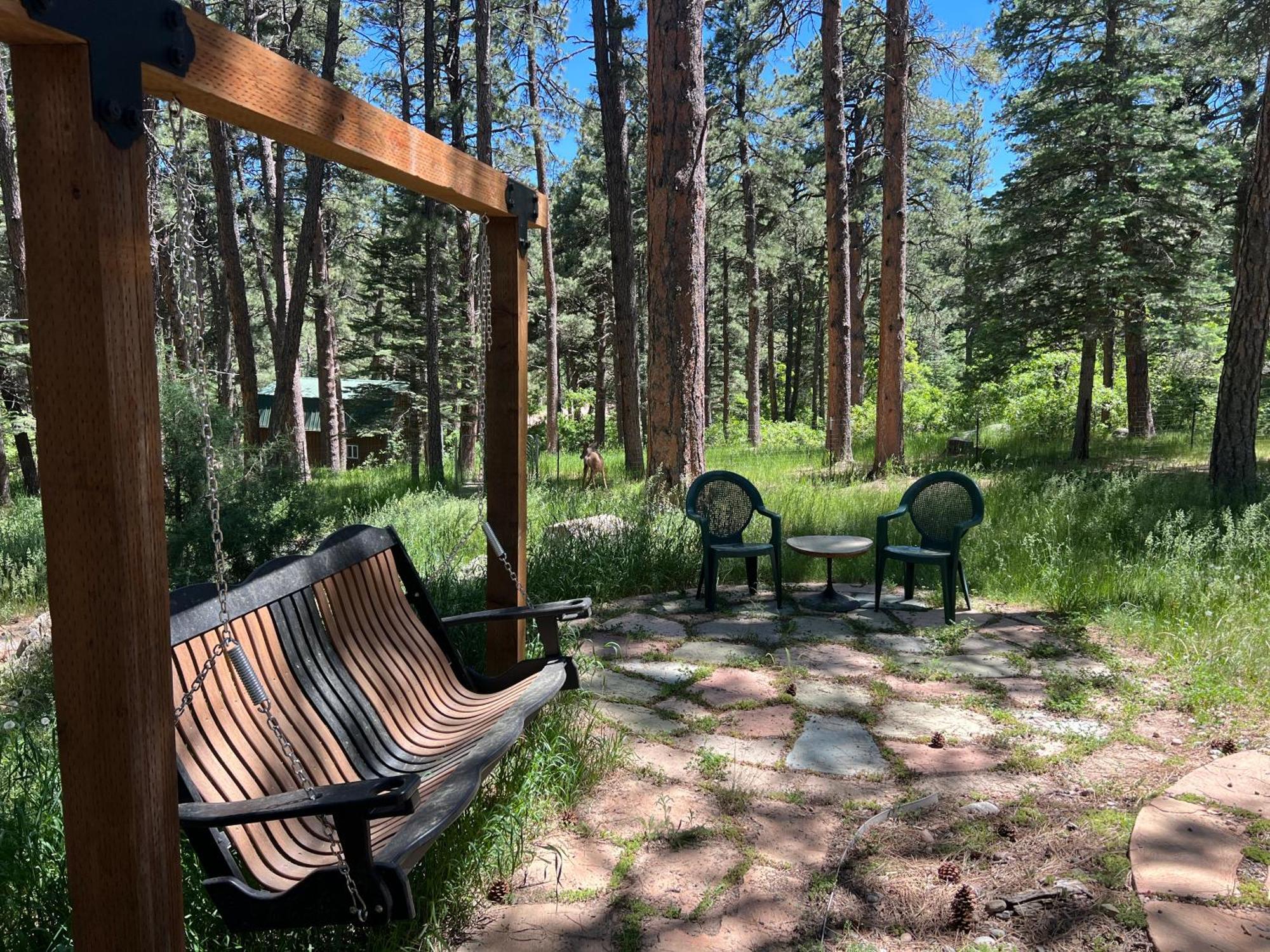 Cozy Cabin On The Creek Colorado City Buitenkant foto