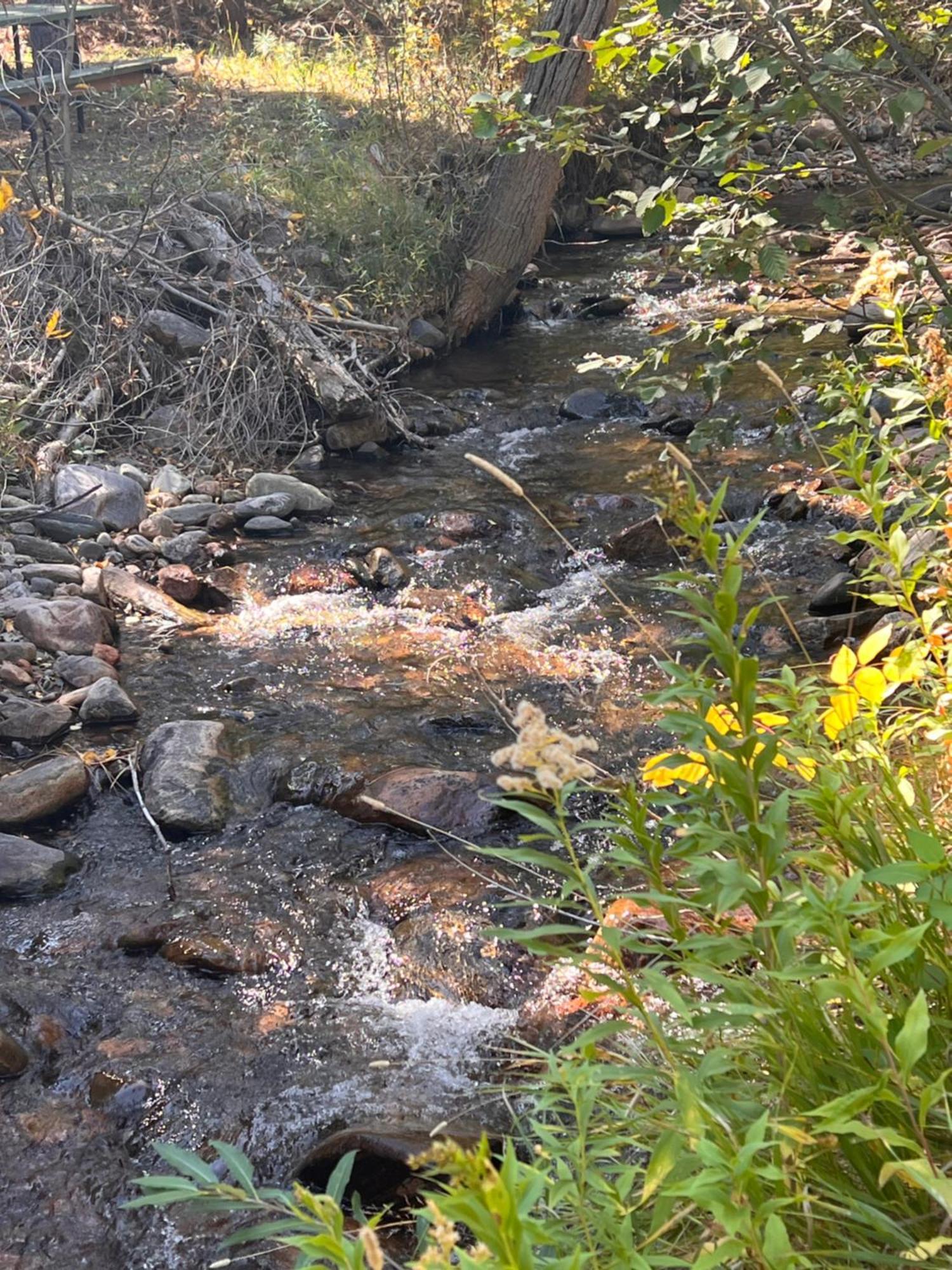 Cozy Cabin On The Creek Colorado City Buitenkant foto
